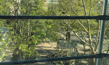 Jahresrückblick CGG Teil II